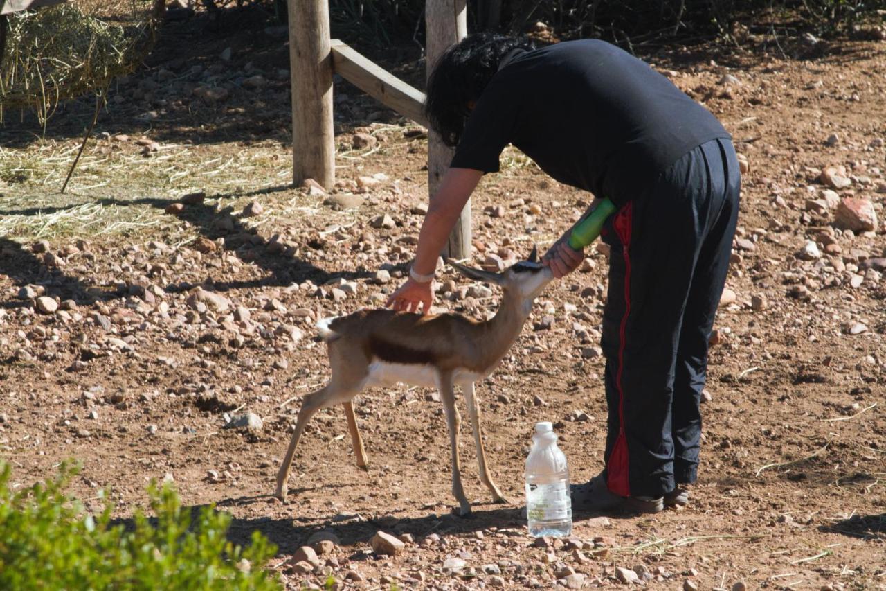 Zwartberg View Mountain Lodge Oudtshoorn Luaran gambar